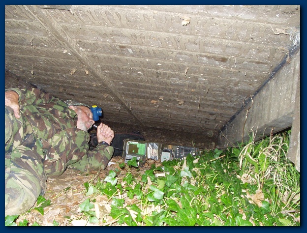 600x449 pixels (183K)